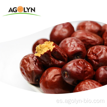 Agolyn fruta seca fresca xinjiang fechas rojas jujube